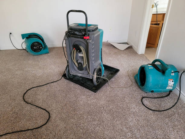 Best Water damage restoration services  in Powder Springs, GA