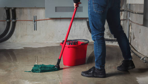 Best Carpet water damage restoration  in Powder Springs, GA