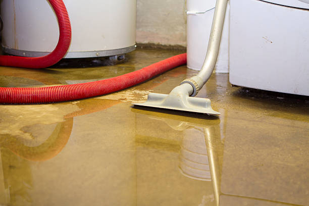  Powder Springs, GA Water damage restoration Pros