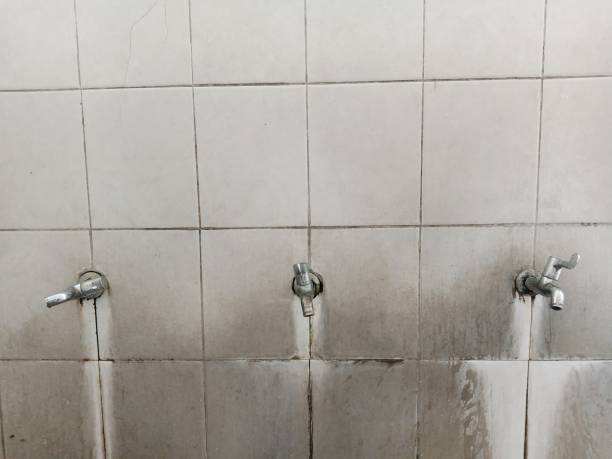 Best Basement water damage restoration  in Powder Springs, GA