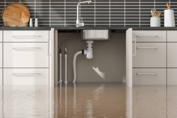 Best Flood restoration services  in Powder Springs, GA