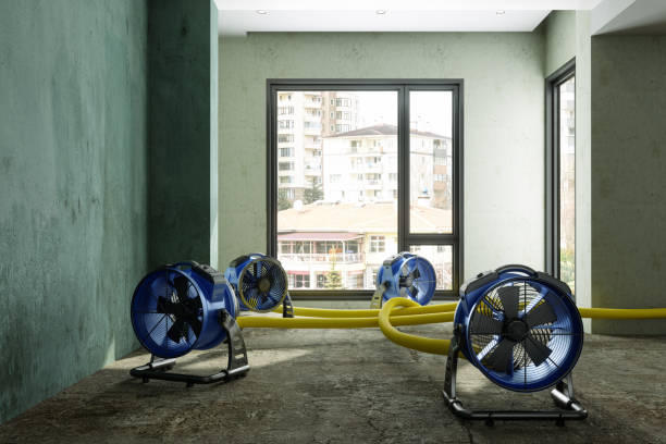 Best Water damage restoration near me  in Powder Springs, GA